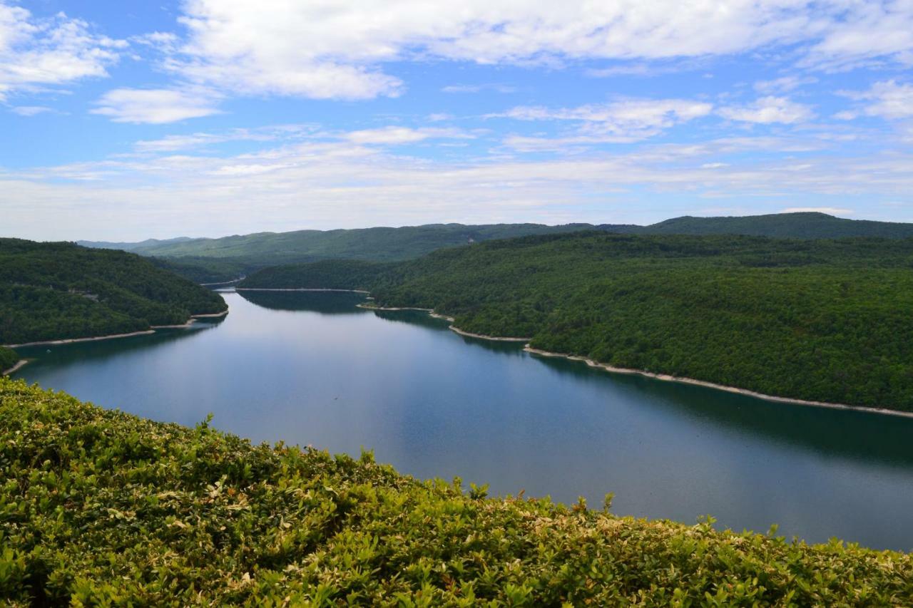 Vvf Jura Lac De Vouglans Maisod Eksteriør billede